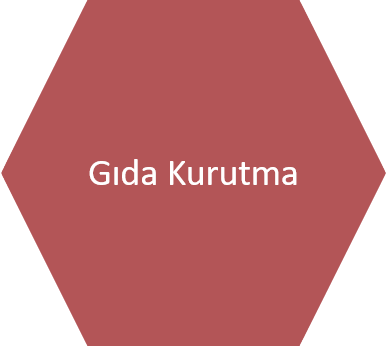 Gida-Kurutma