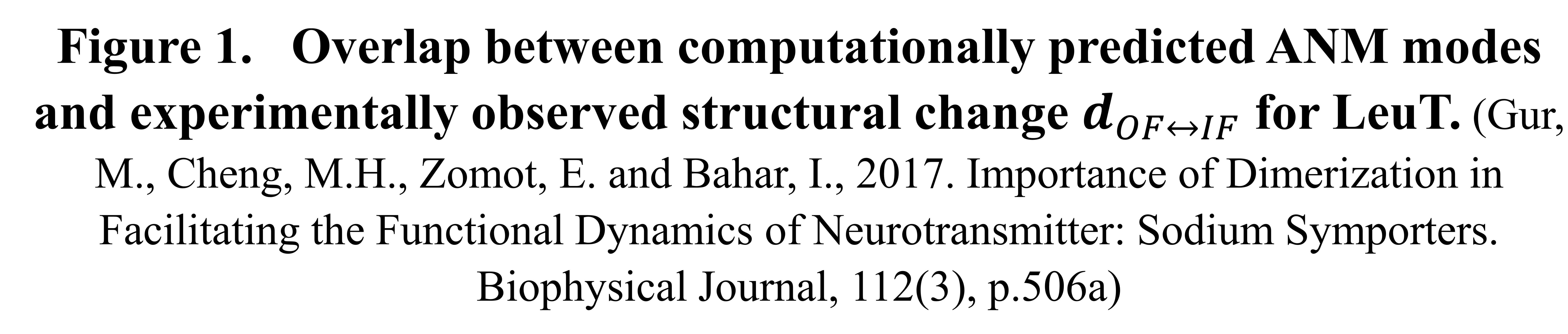 Membrane Transporters