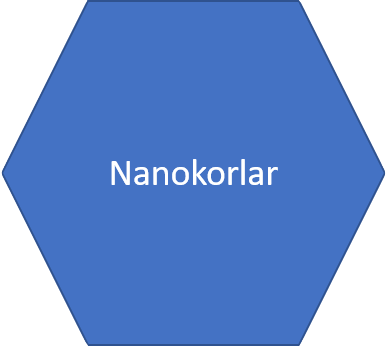 Nanokorlar