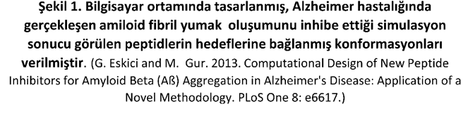 Resim22 Resim22