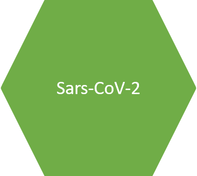 Sars-CoV-2